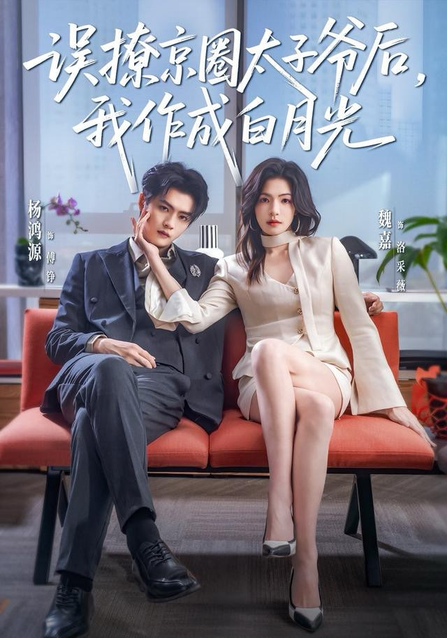 风骚律师